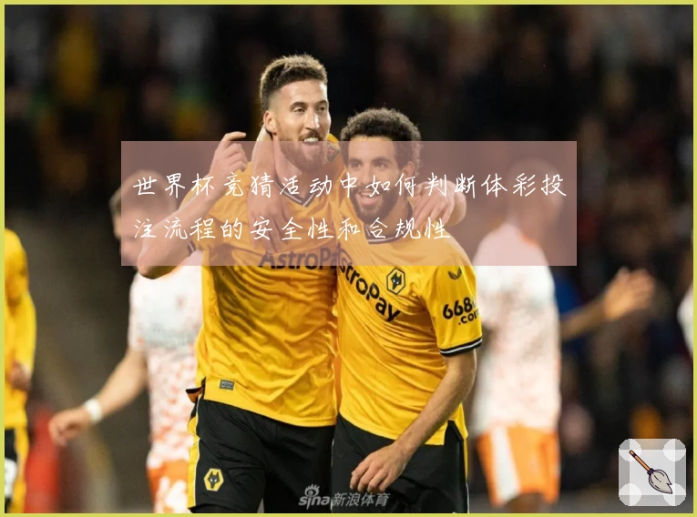 世界杯竞猜活动中如何判断体彩投注流程的安全性和合规性