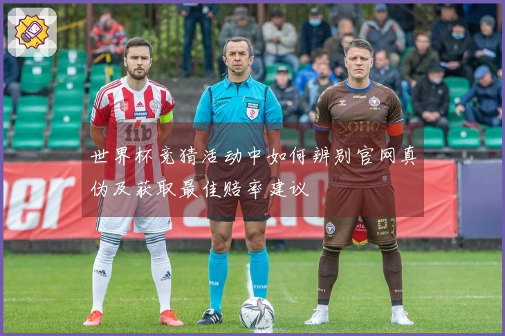 世界杯竞猜活动中如何辨别官网真伪及获取最佳赔率建议