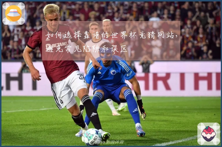 如何选择靠谱的世界杯竞猜网站，避免常见陷阱和误区