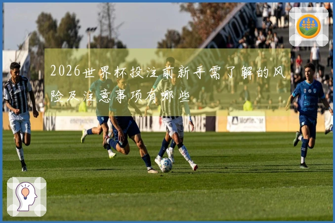 2026世界杯投注前新手需了解的风险及注意事项有哪些
