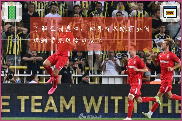 了解亚洲盘口，世界杯买球前如何规避常见风险与误区