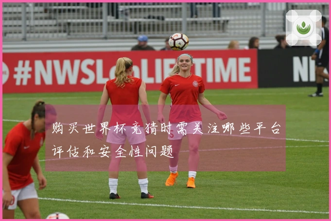 购买世界杯竞猜时需关注哪些平台评估和安全性问题