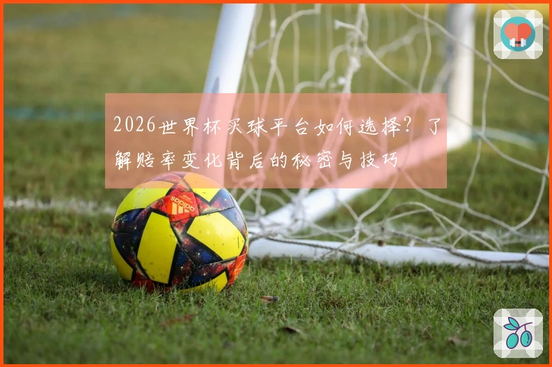 2026世界杯买球平台如何选择？了解赔率变化背后的秘密与技巧