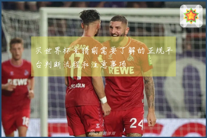 买世界杯竞猜前需要了解的正规平台判断流程和注意事项