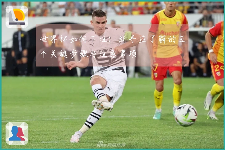 世界杯如何下注：新手应了解的五个关键步骤与注意事项