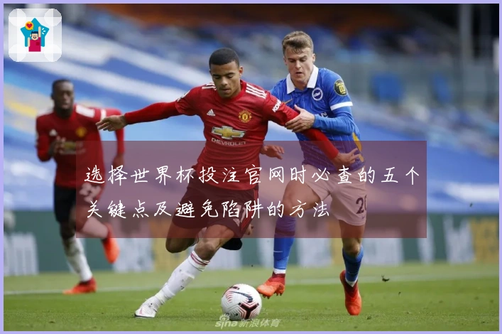 选择世界杯投注官网时必查的五个关键点及避免陷阱的方法