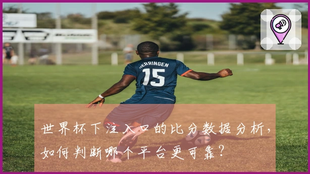 世界杯下注入口的比分数据分析，如何判断哪个平台更可靠？