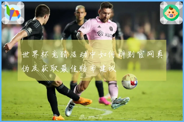 世界杯竞猜活动中如何辨别官网真伪及获取最佳赔率建议