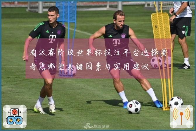 淘汰赛阶段世界杯投注平台选择要考虑哪些关键因素与实用建议
