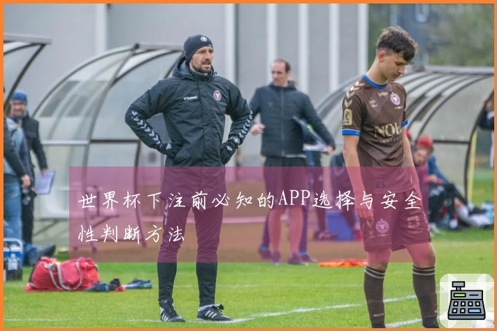 世界杯下注前必知的APP选择与安全性判断方法