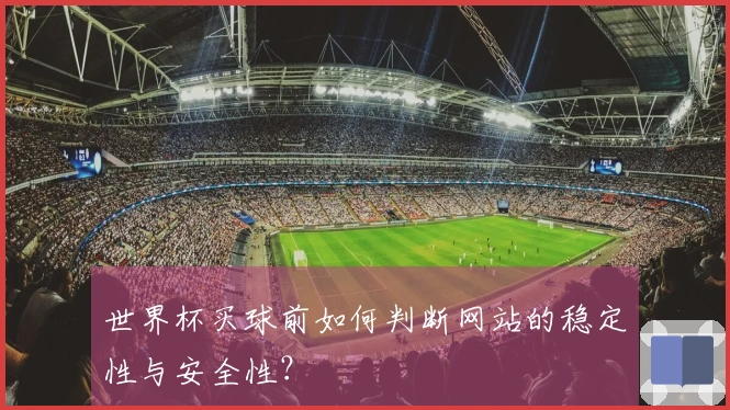 世界杯买球前如何判断网站的稳定性与安全性？