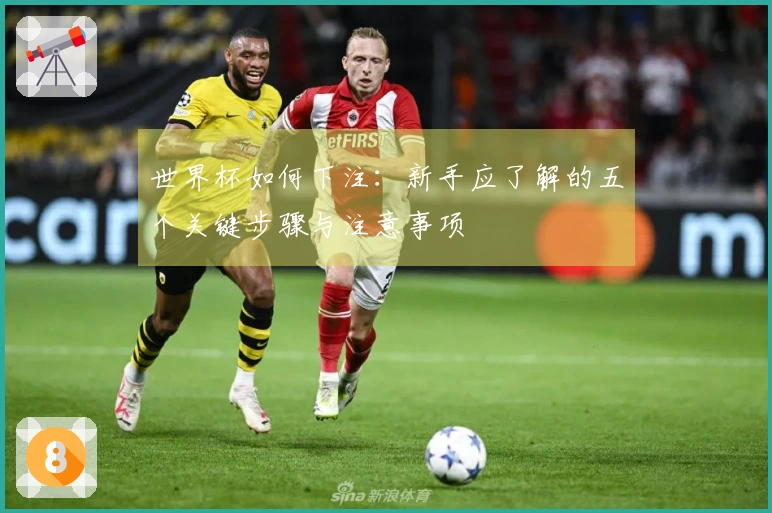 世界杯如何下注：新手应了解的五个关键步骤与注意事项