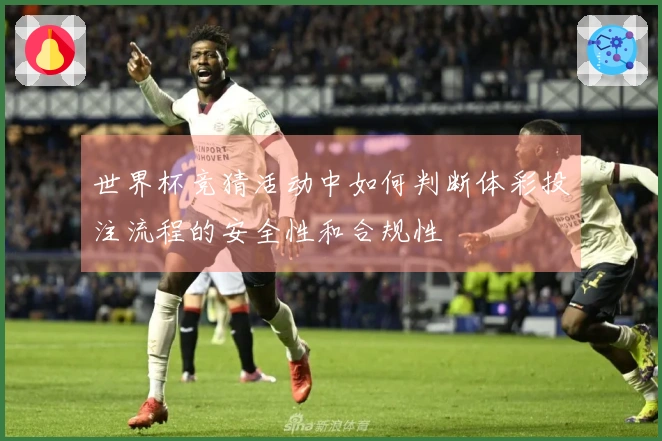 世界杯竞猜活动中如何判断体彩投注流程的安全性和合规性
