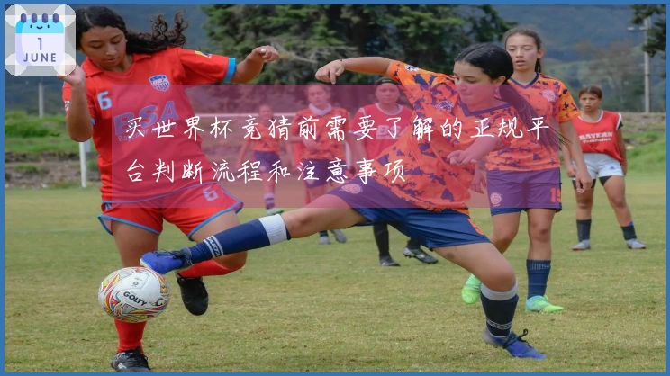 买世界杯竞猜前需要了解的正规平台判断流程和注意事项