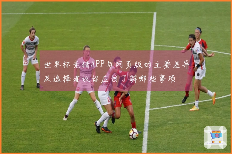 世界杯竞猜APP与网页版的主要差异及选择建议你应该了解哪些事项