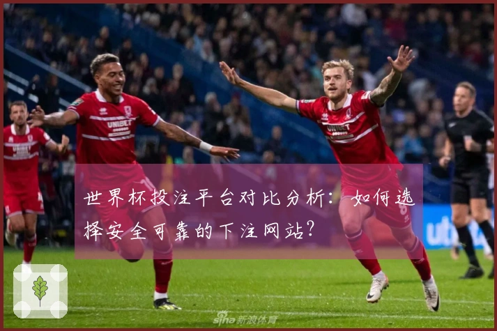 世界杯投注平台对比分析：如何选择安全可靠的下注网站？